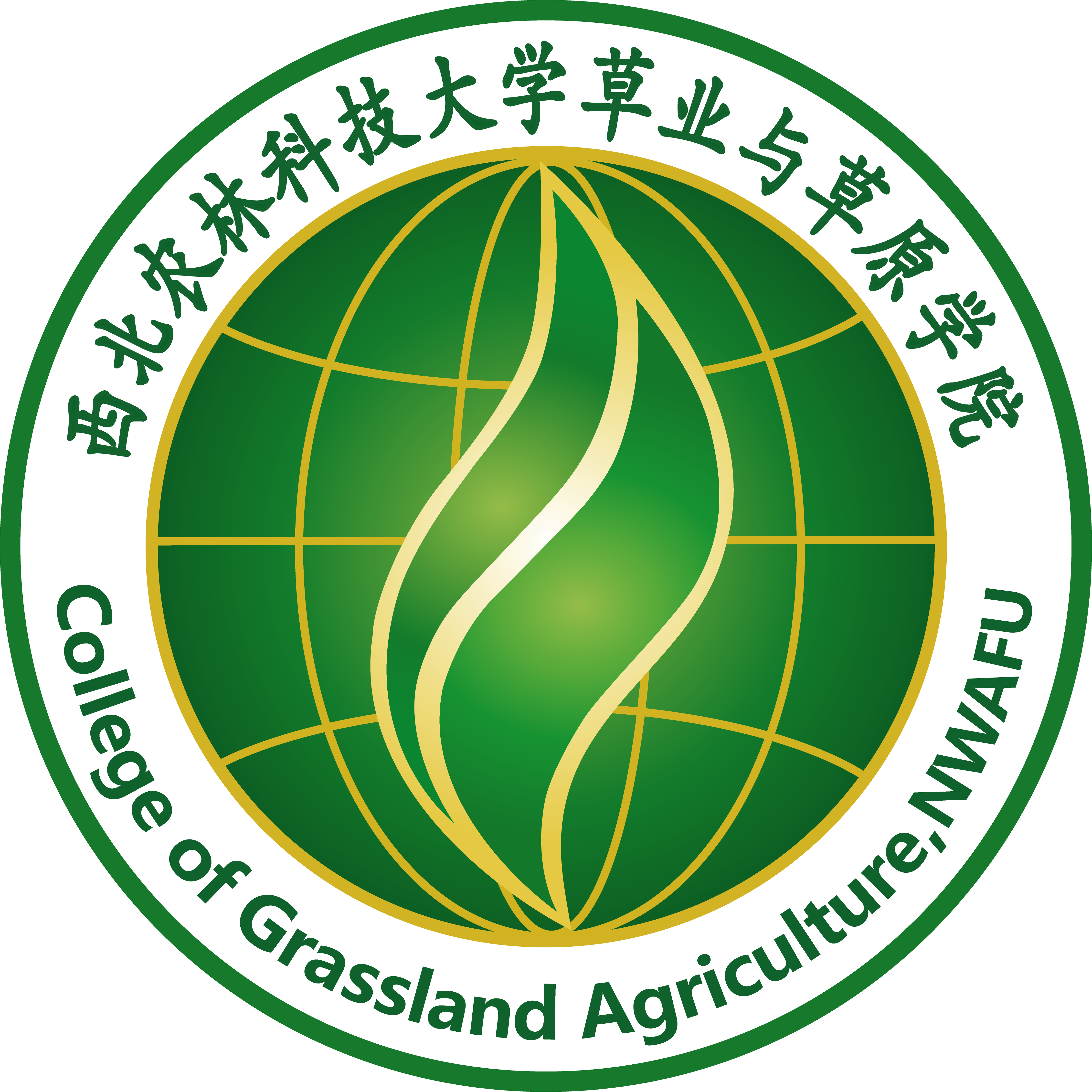 新澳门六合彩内部资料