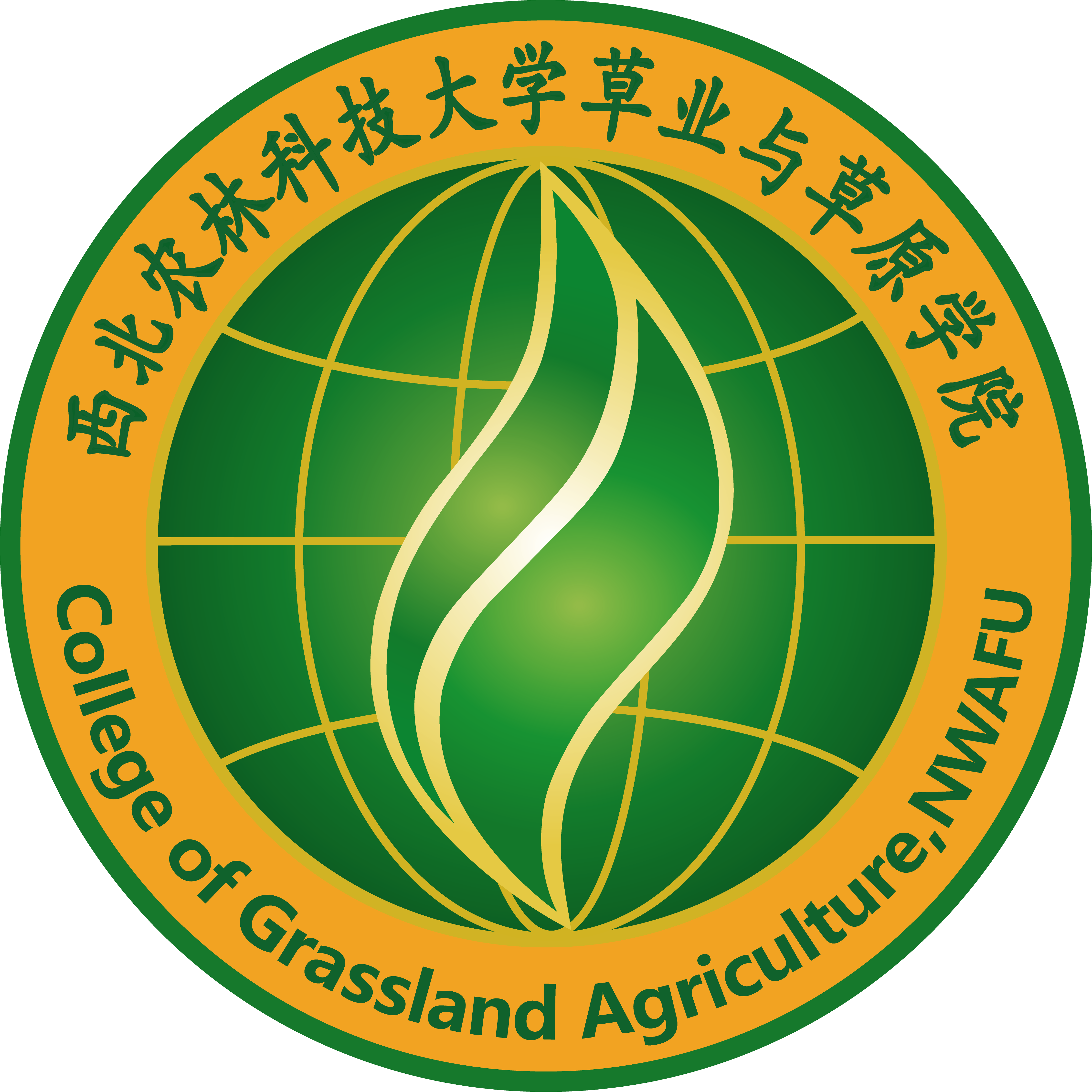 新澳门六合彩内部资料