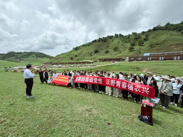 新澳门六合彩内部资料