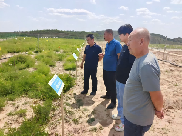 新澳门六合彩内部资料