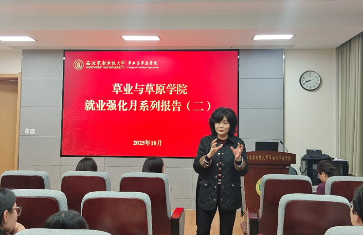 新澳门六合彩内部资料