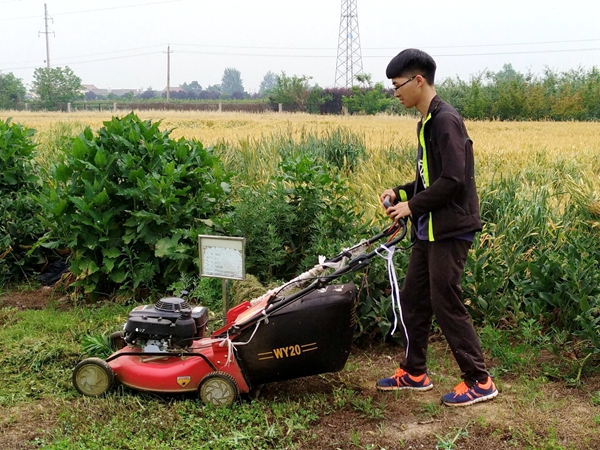 新澳门六合彩内部资料