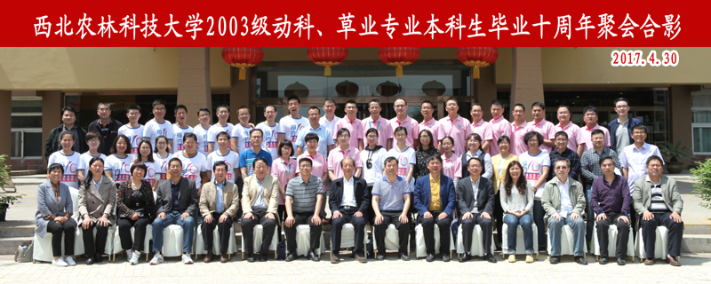 新澳门六合彩内部资料