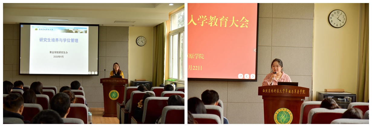 495ca961ee1049f99108a160bbac41d9.jpg 光影魔术手拼图.jpg