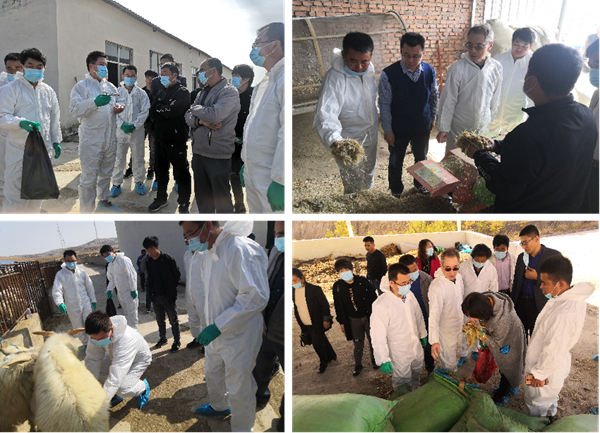 b34b88e3e6894c84bc78c26e214ccb2c.png 5.png