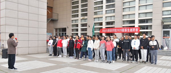 be7ebc74bc184a859d58ce98b93c82d6.jpg DSC_3149.JPG