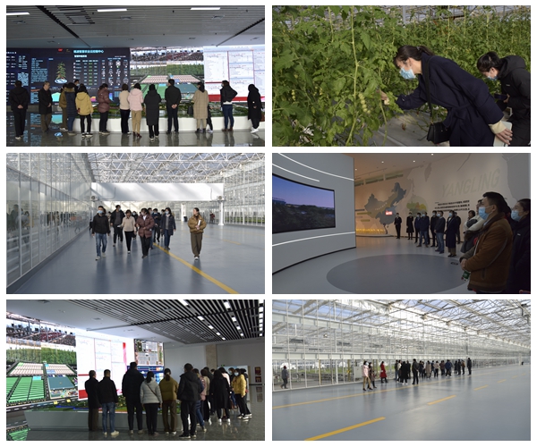 b1a603eaef3746f0aeca1312f3f6130c.jpg 光影魔术手拼图.jpg