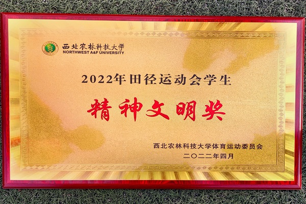 e162166220264b1ab75d1df891493c60.png 图片12.png