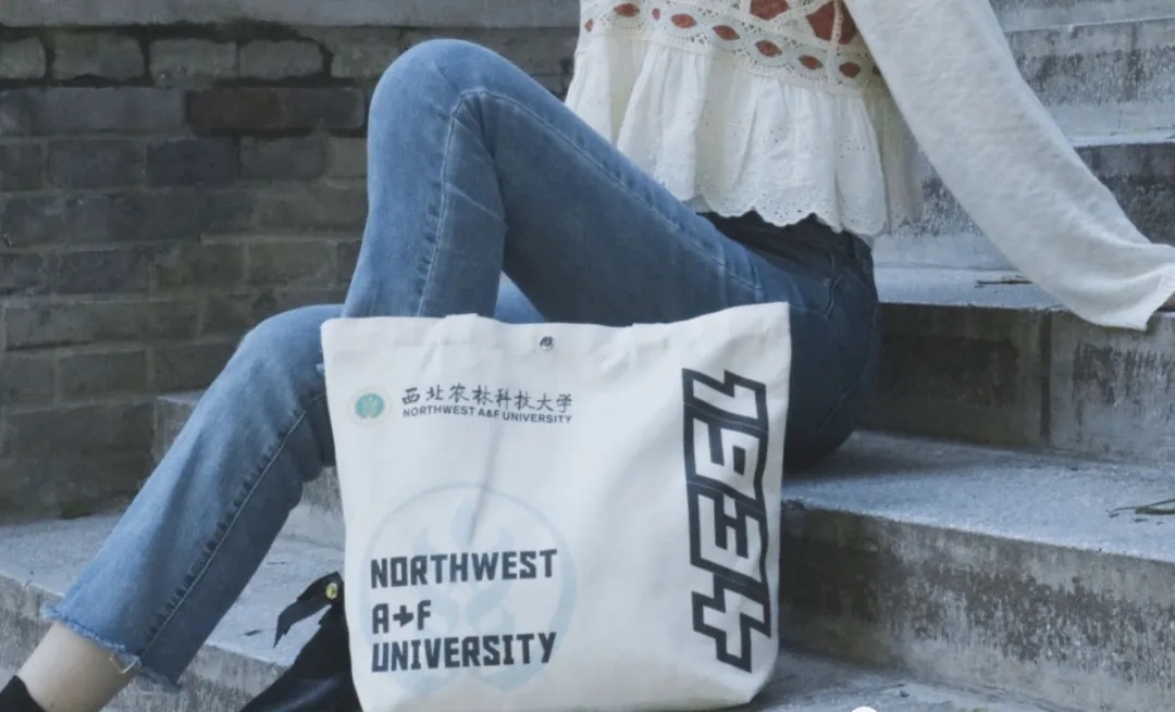 44b981aa64ae48b0b3954939ebc28473.jpg 44b981aa64ae48b0b3954939ebc28473.jpg