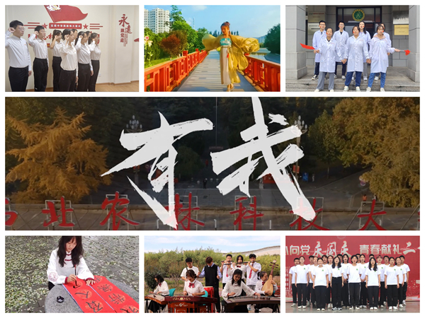 cd381a04acb945d18009fff426ace2c9.jpg cd381a04acb945d18009fff426ace2c9.jpg