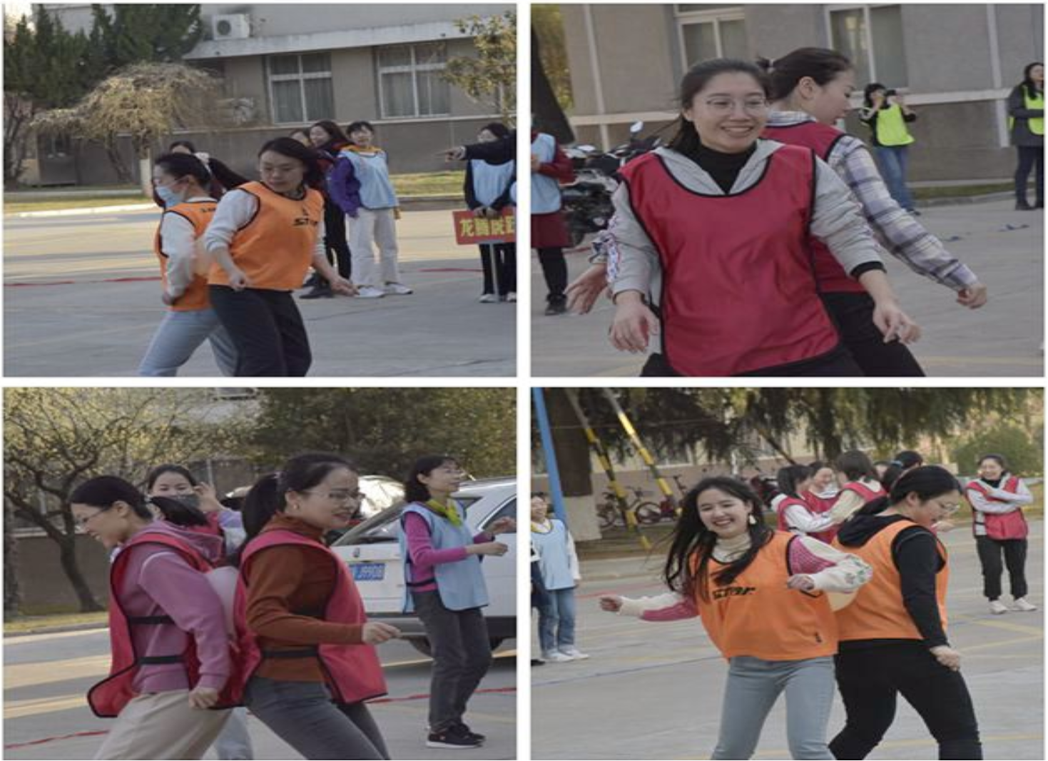 新澳门六合彩内部资料