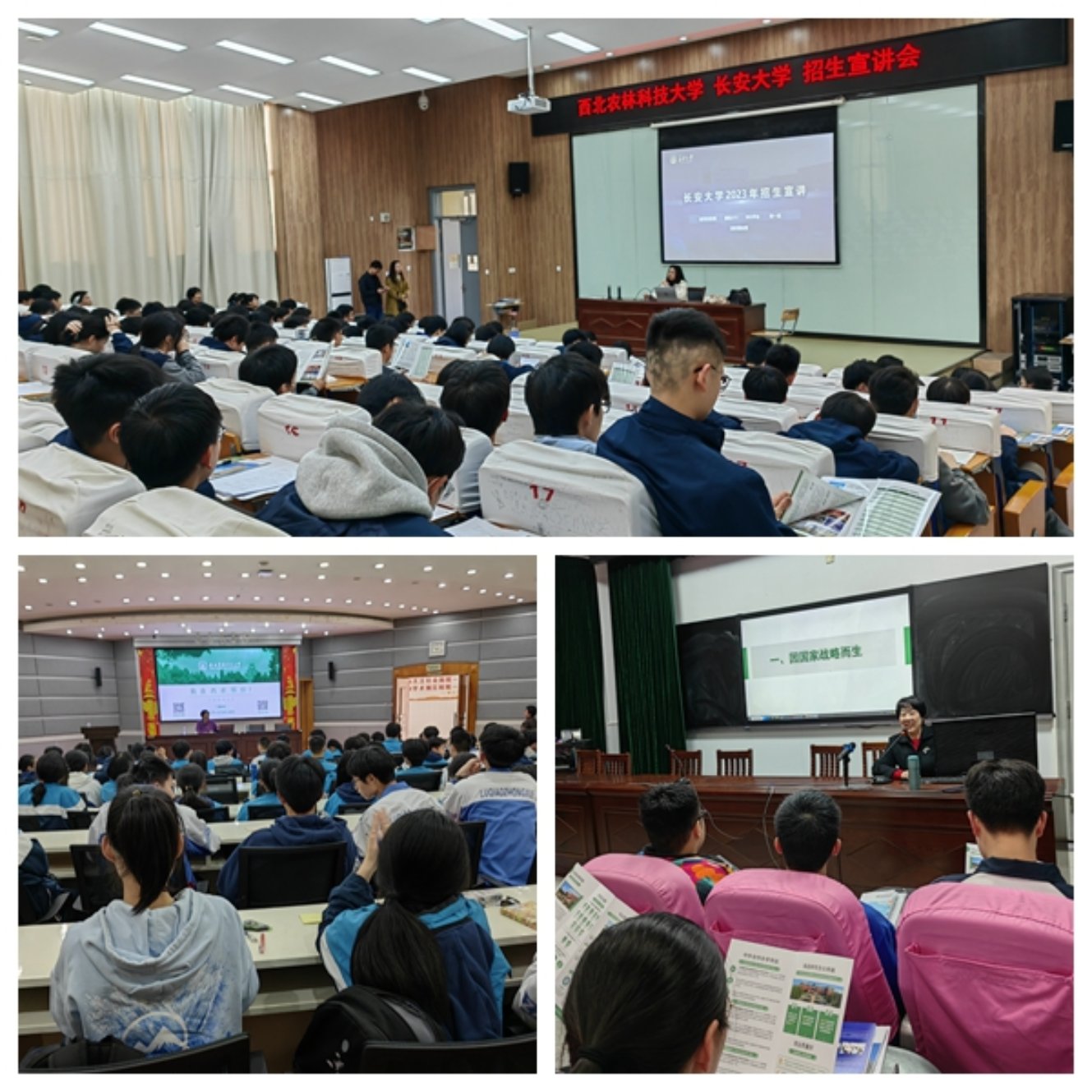 新澳门六合彩内部资料