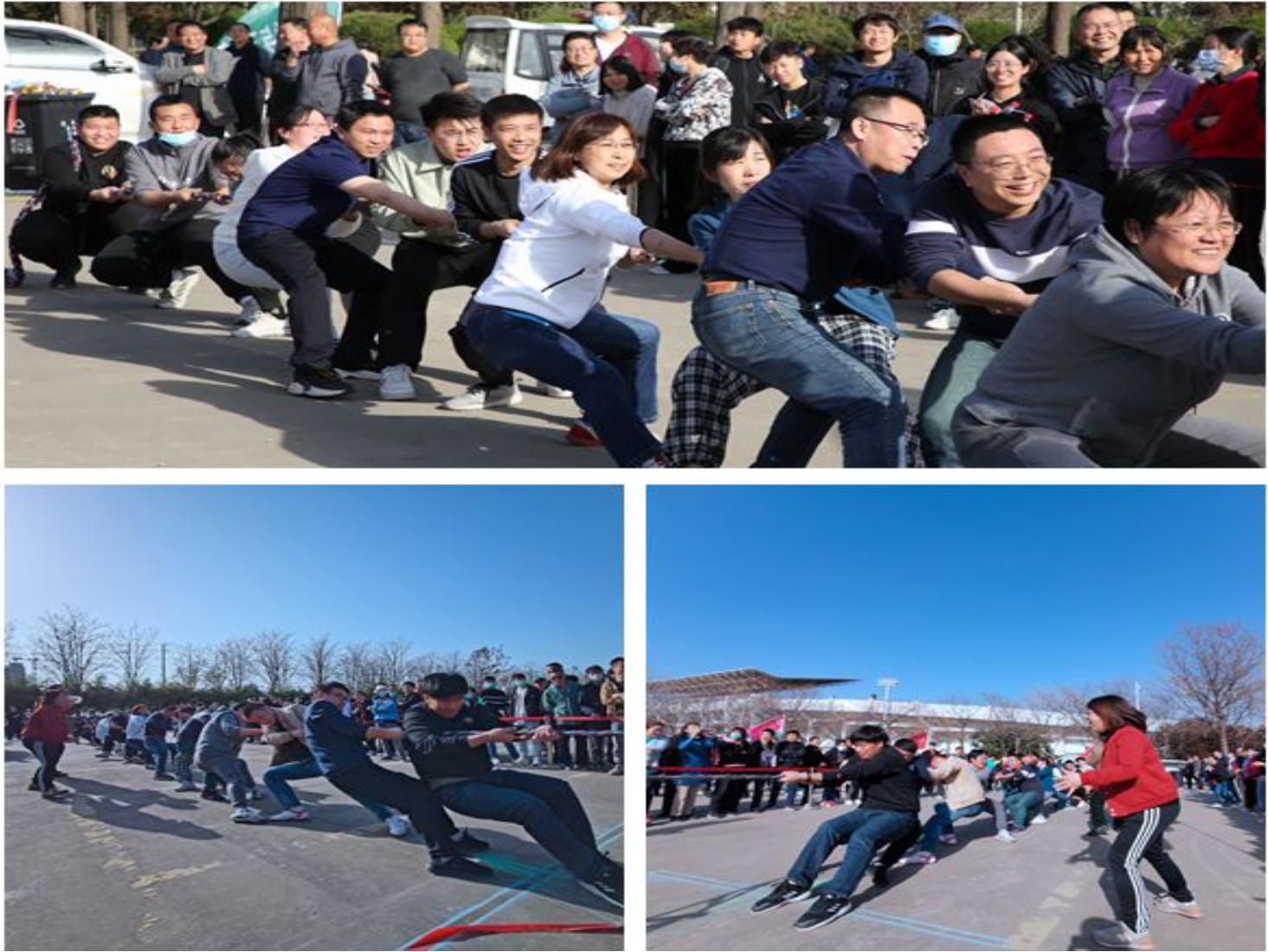 新澳门六合彩内部资料