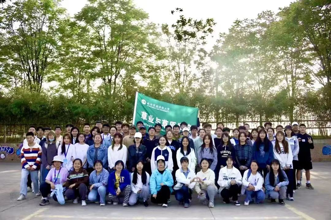 a305bbe083e442488772c2561b91d612.jpg a305bbe083e442488772c2561b91d612.jpg