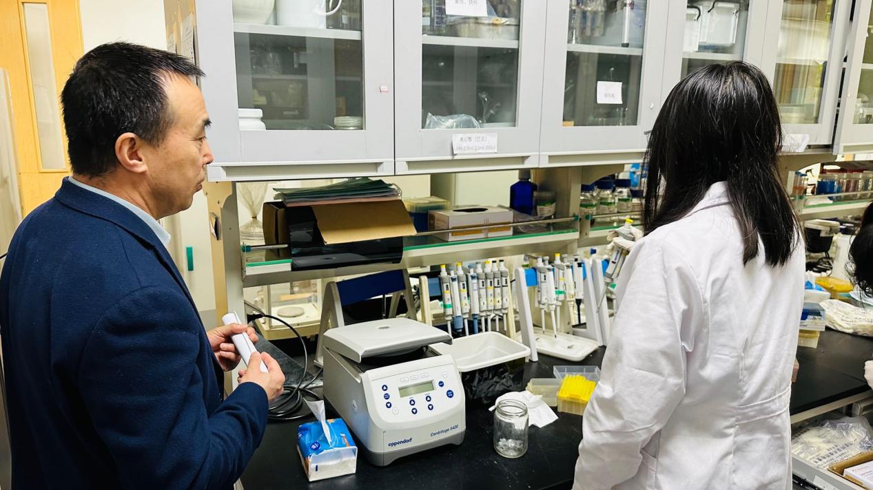 新澳门六合彩内部资料