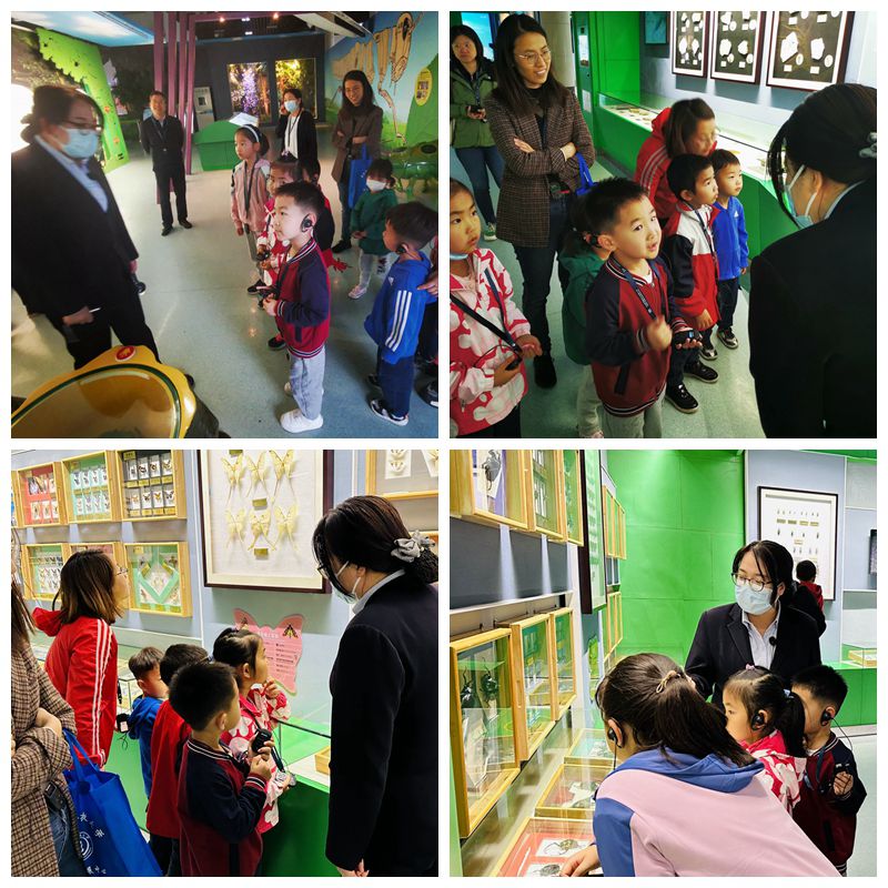 新澳门六合彩内部资料