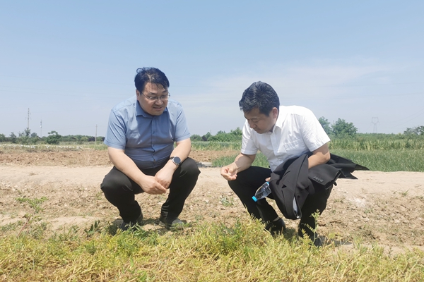 b236e83e9b21473ca73df6f0ea1bfef6.jpg 考察牧草教学基地.jpg