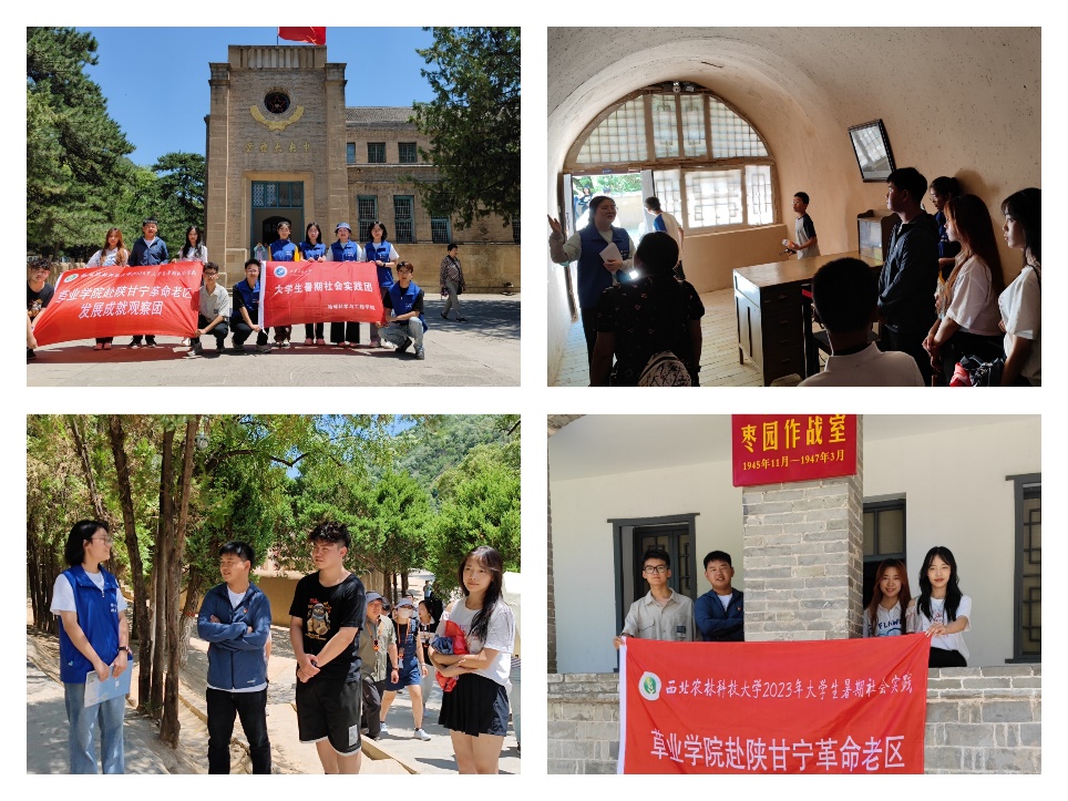 新澳门六合彩内部资料