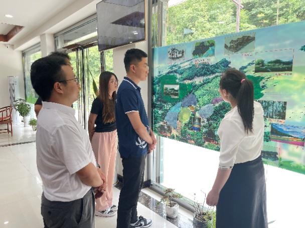 新澳门六合彩内部资料