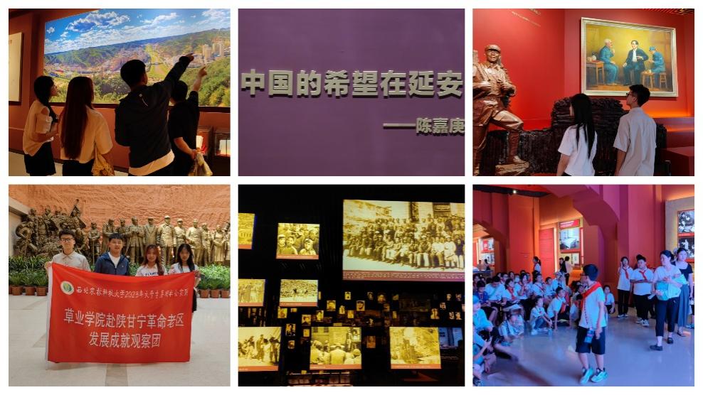 新澳门六合彩内部资料