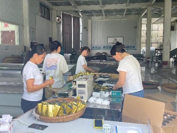 新澳门六合彩内部资料