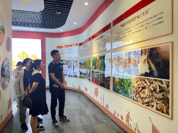 新澳门六合彩内部资料