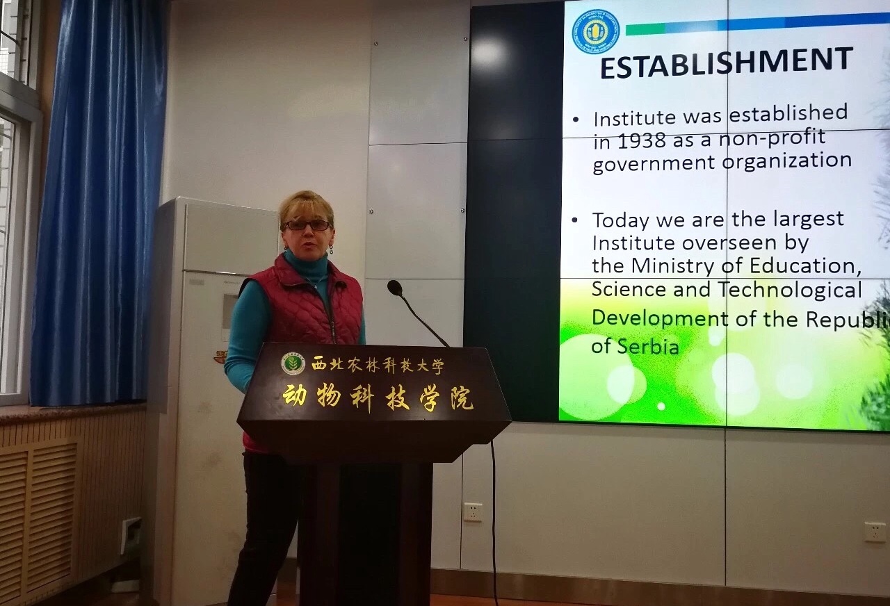 新澳门六合彩内部资料