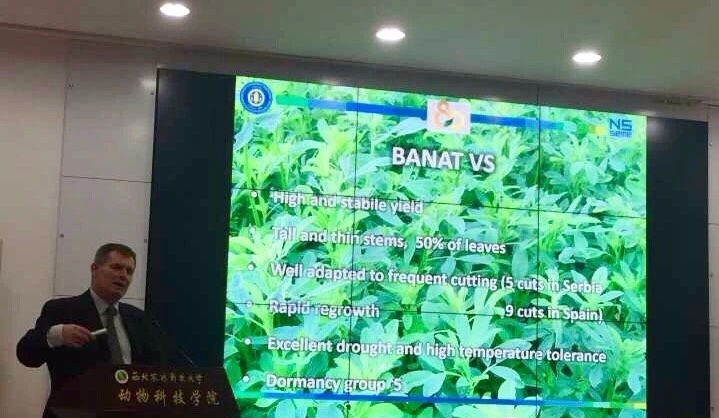 新澳门六合彩内部资料