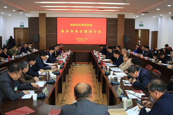 新澳门六合彩内部资料