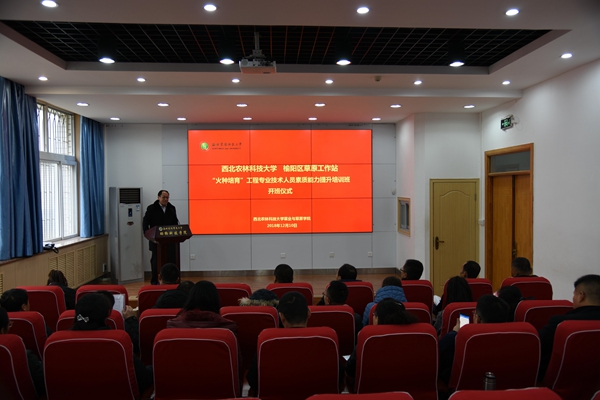 新澳门六合彩内部资料