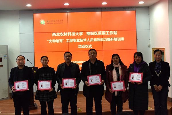 新澳门六合彩内部资料