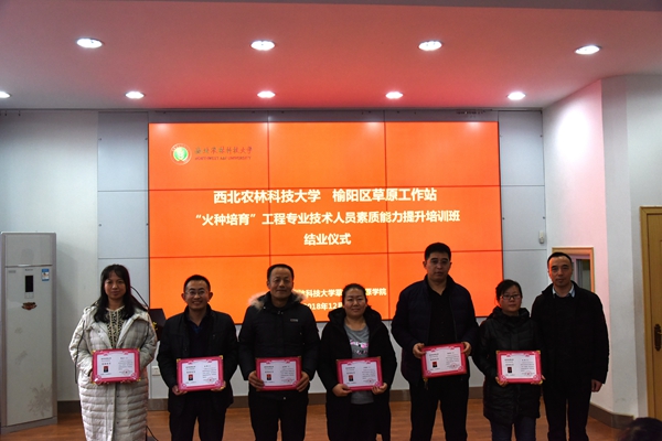 新澳门六合彩内部资料