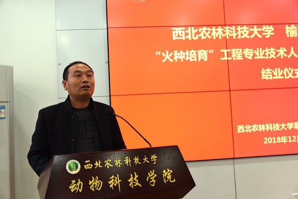 新澳门六合彩内部资料