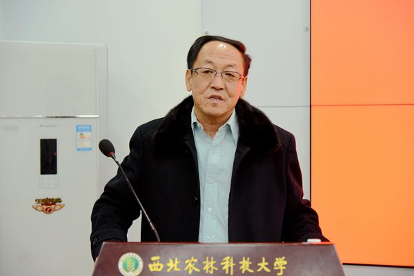 新澳门六合彩内部资料