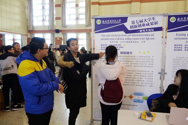 新澳门六合彩内部资料