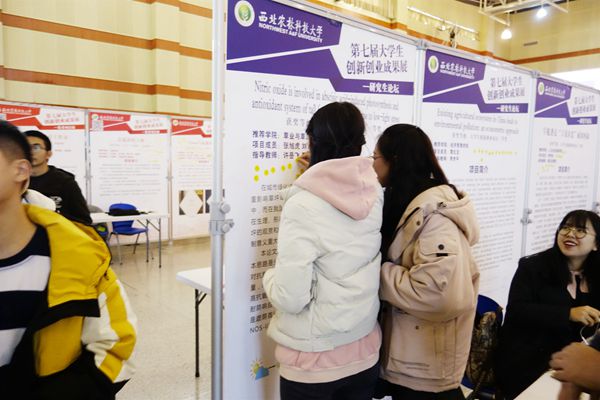 新澳门六合彩内部资料