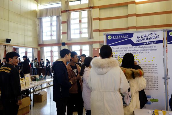 新澳门六合彩内部资料