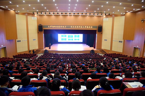 新澳门六合彩内部资料