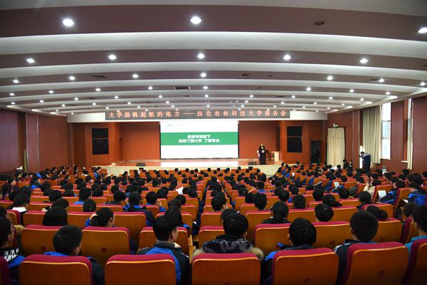 新澳门六合彩内部资料