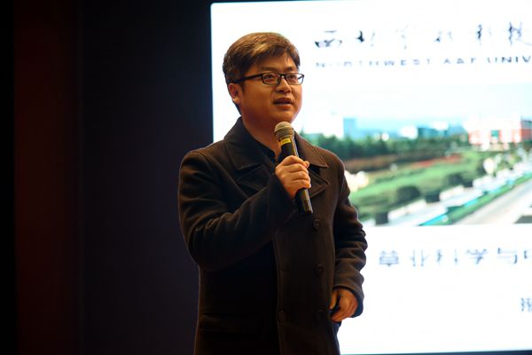 新澳门六合彩内部资料