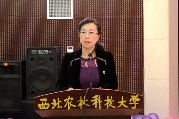 新澳门六合彩内部资料