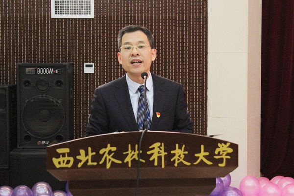 新澳门六合彩内部资料