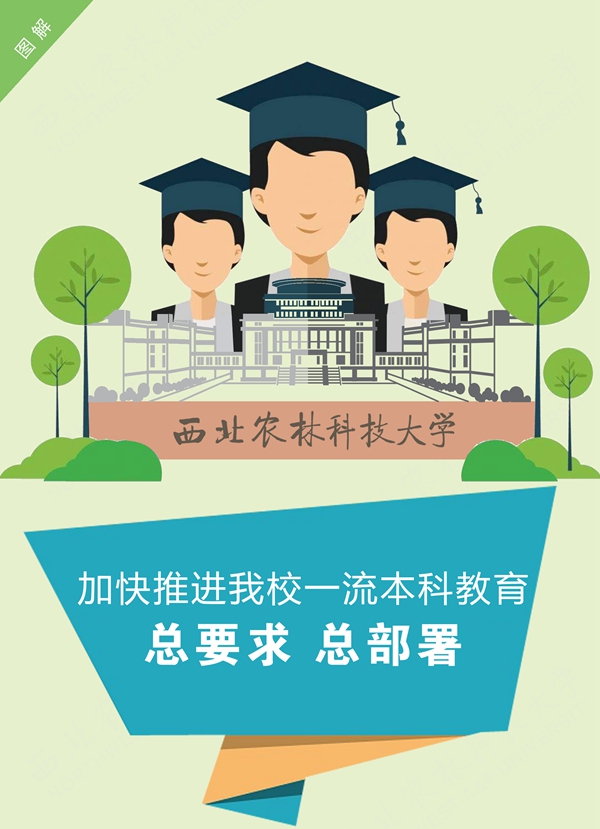 新澳门六合彩内部资料