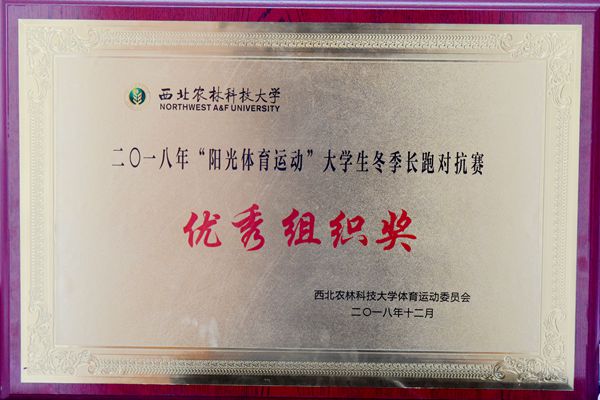 新澳门六合彩内部资料