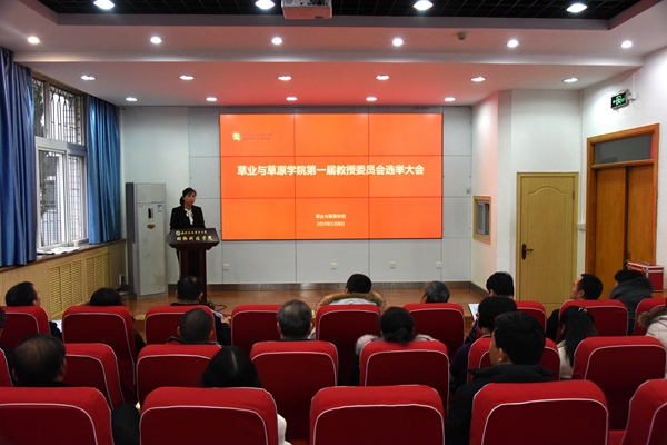 新澳门六合彩内部资料