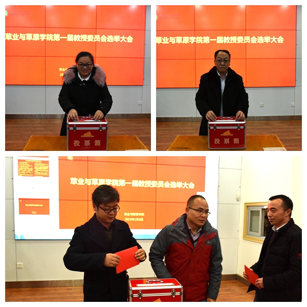 新澳门六合彩内部资料