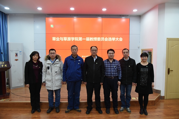 新澳门六合彩内部资料