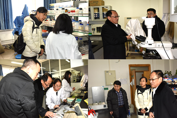 新澳门六合彩内部资料