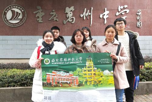 新澳门六合彩内部资料