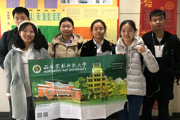 新澳门六合彩内部资料